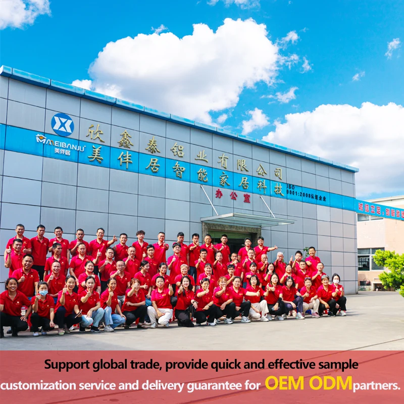 OEM balcony telescopic clothes drying pole intelligent remote control automatic lifting clothes intelligent electric drying rack