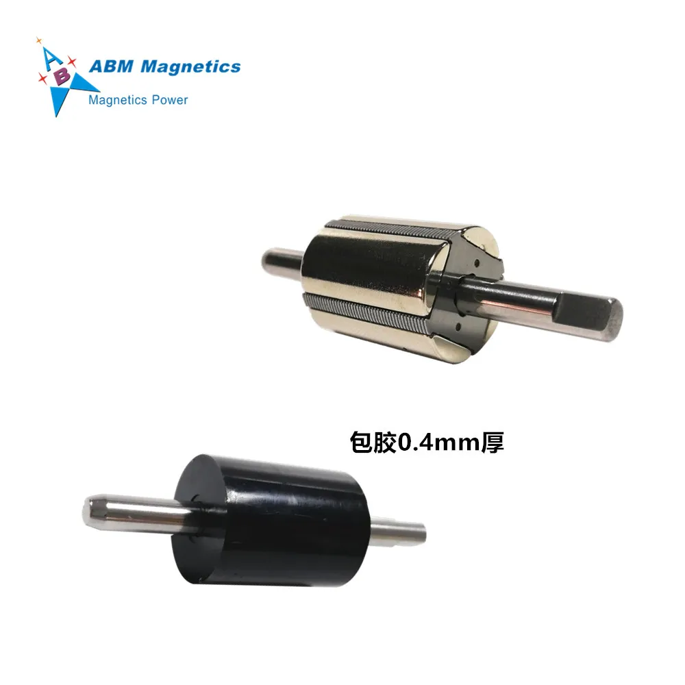 High Rpm Water Pump Magnetic Rotor, Fuel Pump Magnetic Rotor, Oil Pump Ndfeb Magnet Industrial Magnet