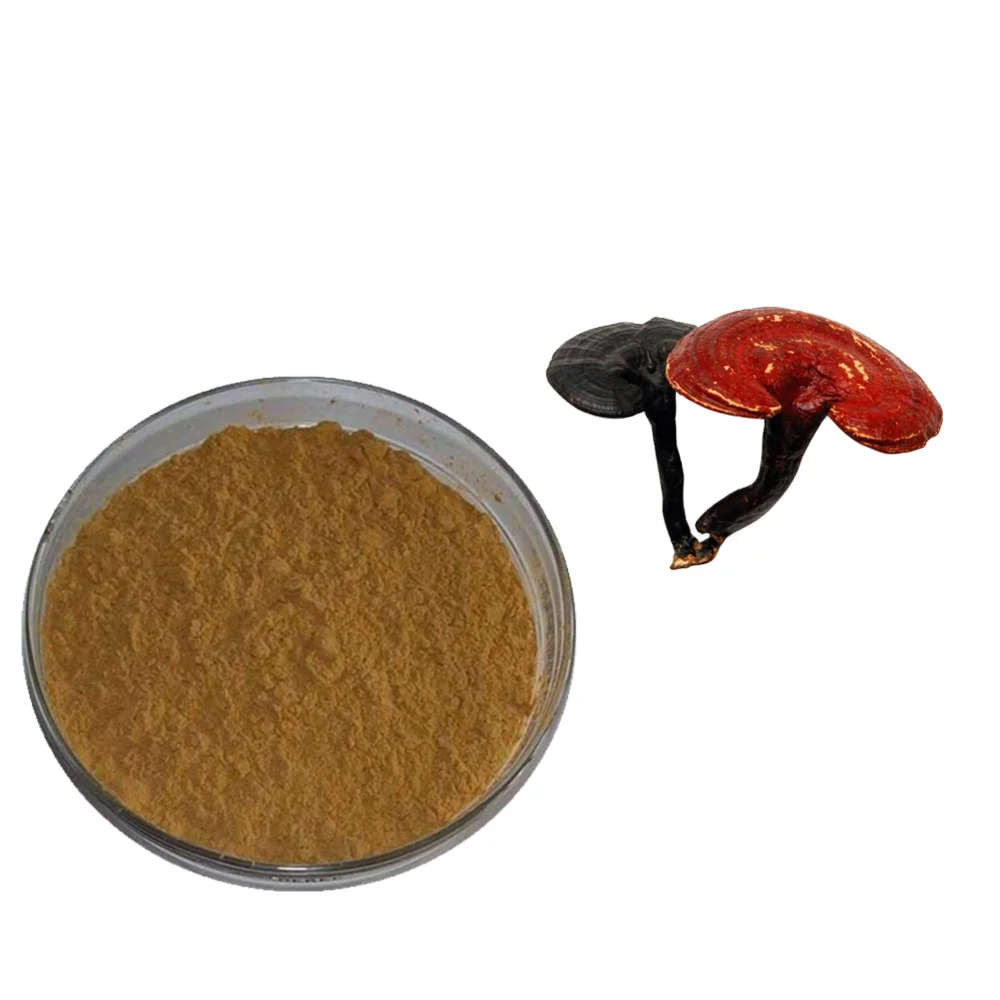 Экстракт грибов ganoderma lucidum мульти Спецификация коричневый порошок в наличии для хорошей продажи