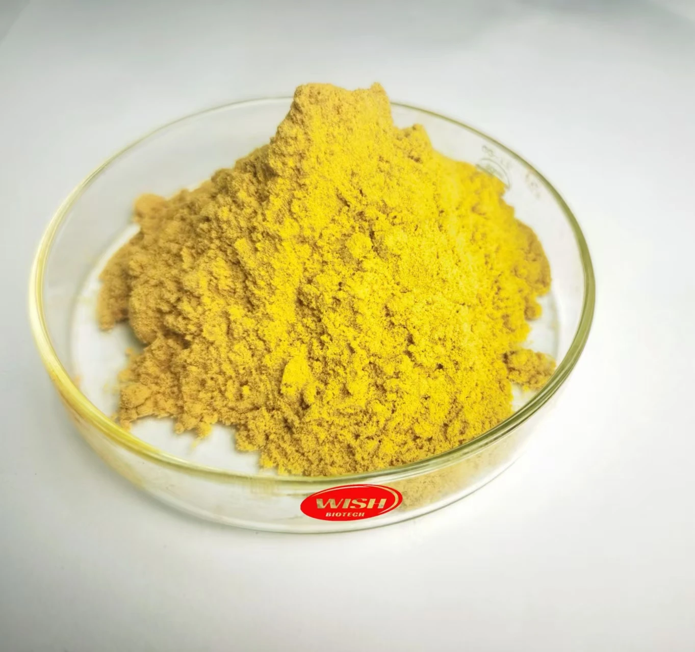 Natural Food Blend Protein Powder Water-Soluble Fruits and Vegetables Powder