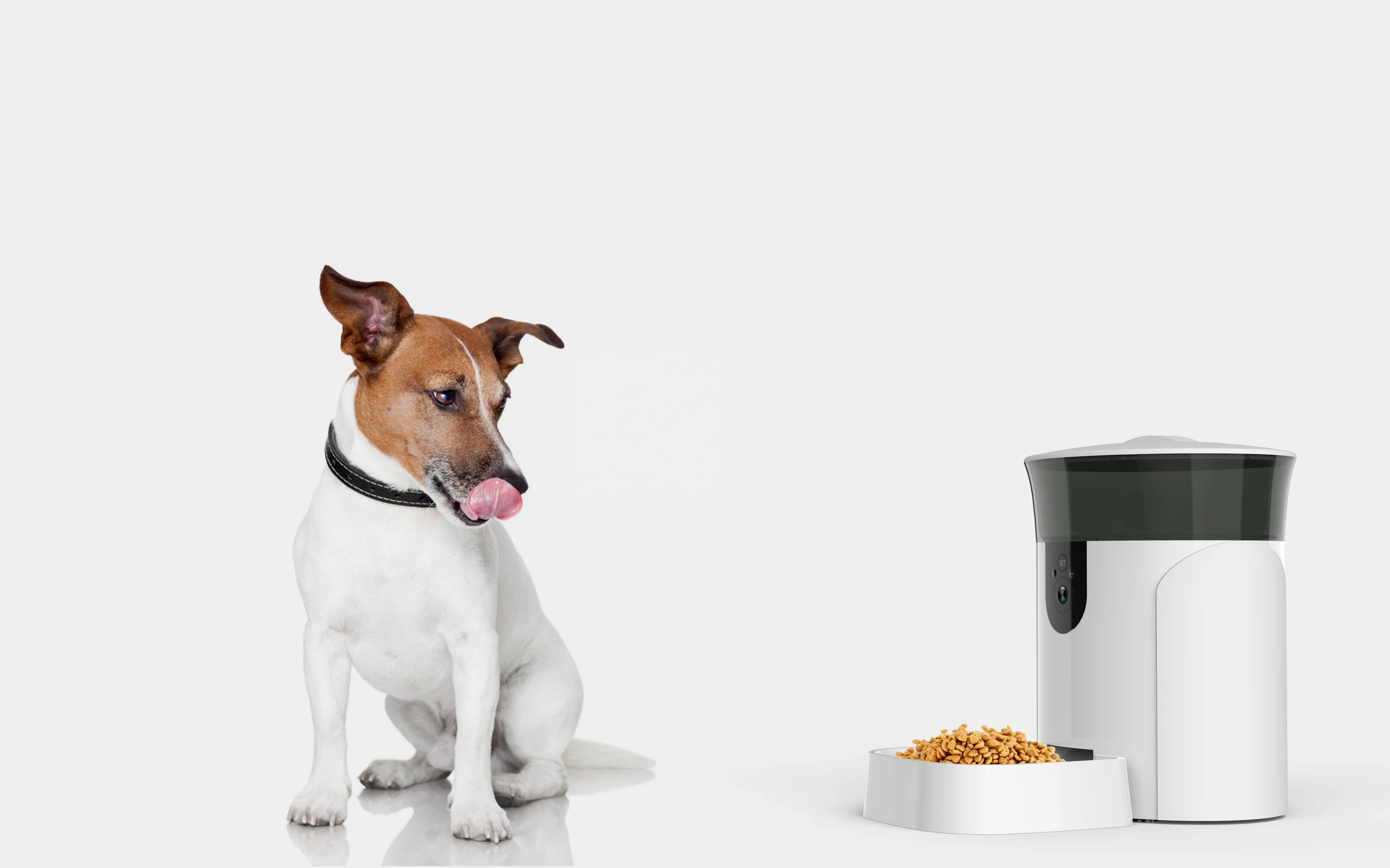 TUYA White Timing Feeding Support Smart Automatic WiFi  Auto Timer Pet Feeder