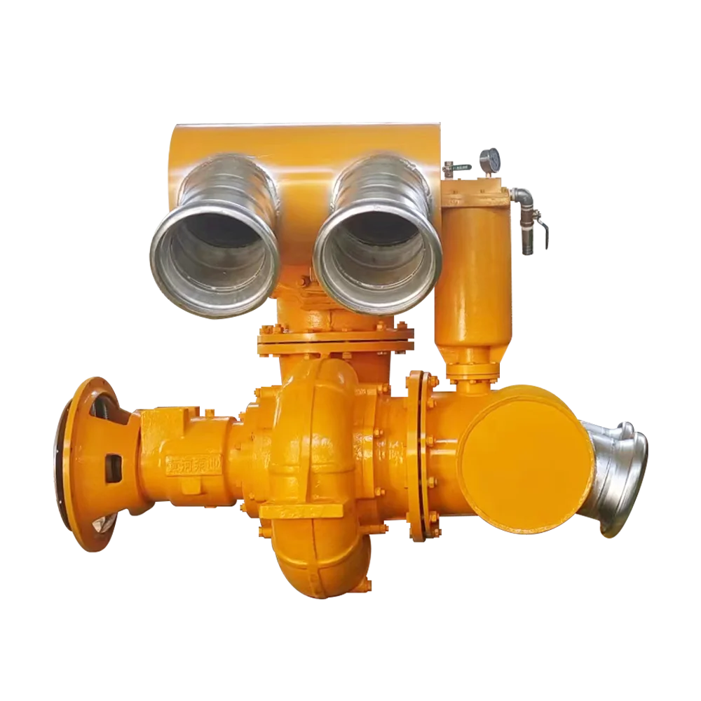 Government flood control high quality mobile cast iron vacuum auxiliary pump
