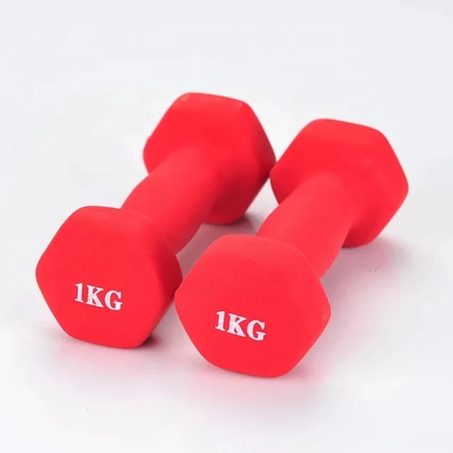Yoga fitness neoprene vinyl dumbbells set weightlifting gym 5lb dumbbell