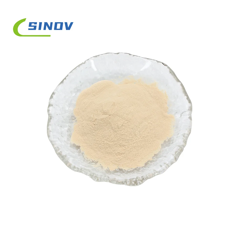Factory supply Siberian Ginseng Extract High quality Siberian Ginseng Extract Wholesale price Siberian Ginseng Extract