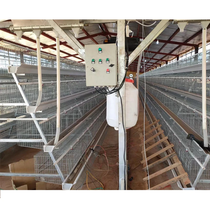 10 Sets Discounted Price Poultry Equipment Chicken Farming A Type 10000 Layer Chickens Farm Bird Layer Chicken Cage For Sale
