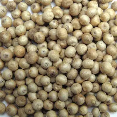 VIETNAM WHITE PEPPER 630 DOUBLE WASHED WHOLESALE HIGH QUALITY BEST PRICE BRC FOOD TOP SUPPLIER HANFIMEX GROUP