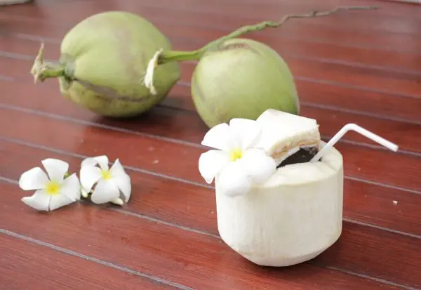 Свежий Кокосовый урожай во Вьетнаме 2021 Высококачественная продажа оптом