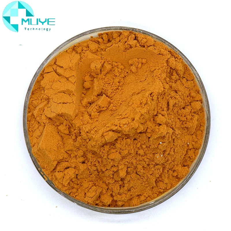 Wholesale Bulk 100% natural Pure 2% 10% Ajuga Turkestanica Extract Powder Turkesterone