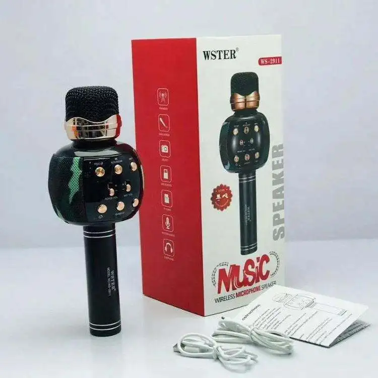 WS2011 Portable Home Theatre System Wireless Mini Karaoke Speaker With Mic and BT