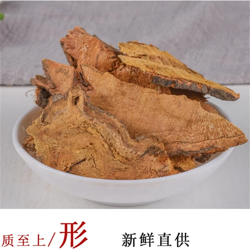 Hu Zhang Polygonum cuspidatum