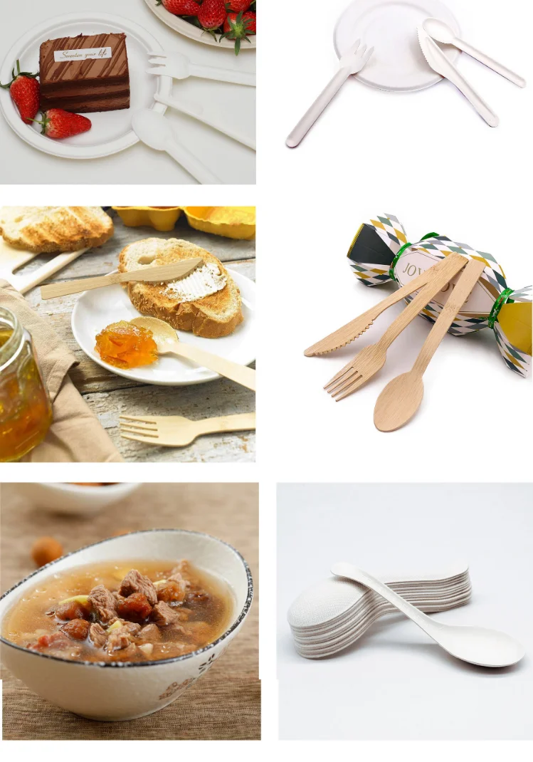 Customized Eco-Friendly Biodegradable Disposable Cutlery Chinese Soup Spoon for Dinnerware for Soup and Other Beverages
