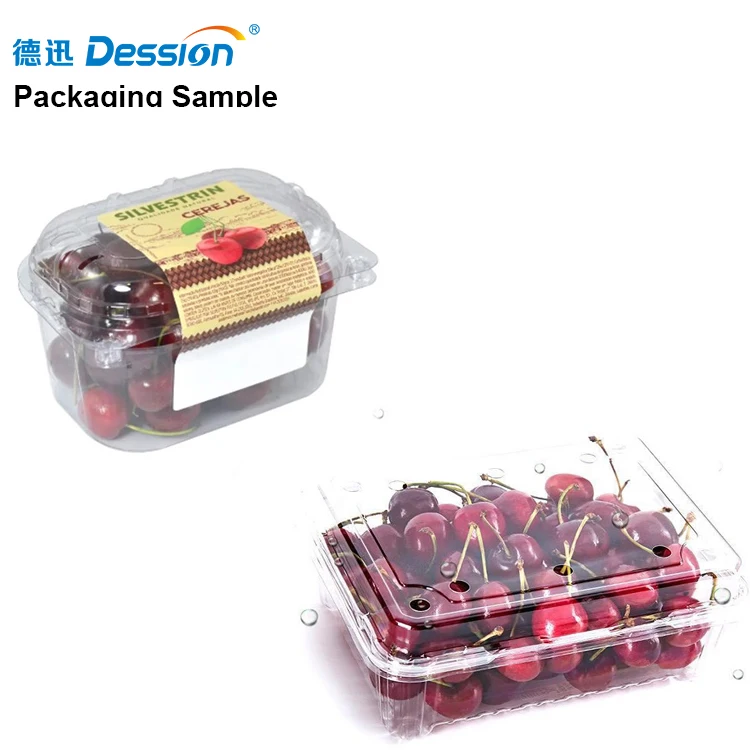 In Stock Fresh Fruit Clamshell Filling Machine Cherry Tray Filling Machine Strawberry Grape Tray Filling Packing Machine