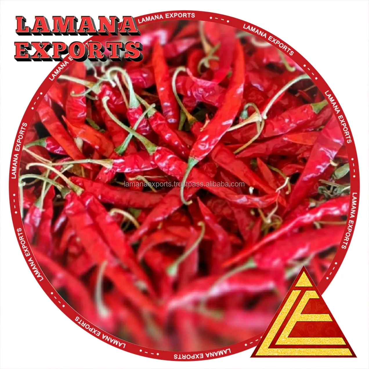 Spicy Dry Red Chilli S17 Teja with Stem Indian Chilli Deluxe Quality for Thailand
