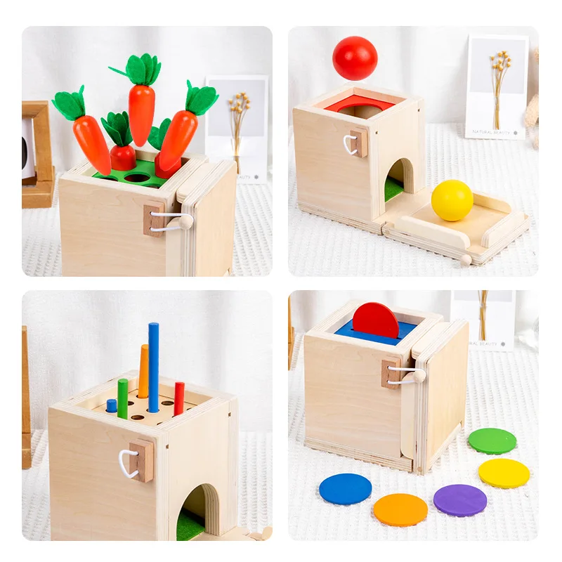 4-in-1 Object Permanence Box Coin Box Carrot Harvest Color Match Sticks Drop Game Wooden Montessori Motor Skill Toys for Toddler