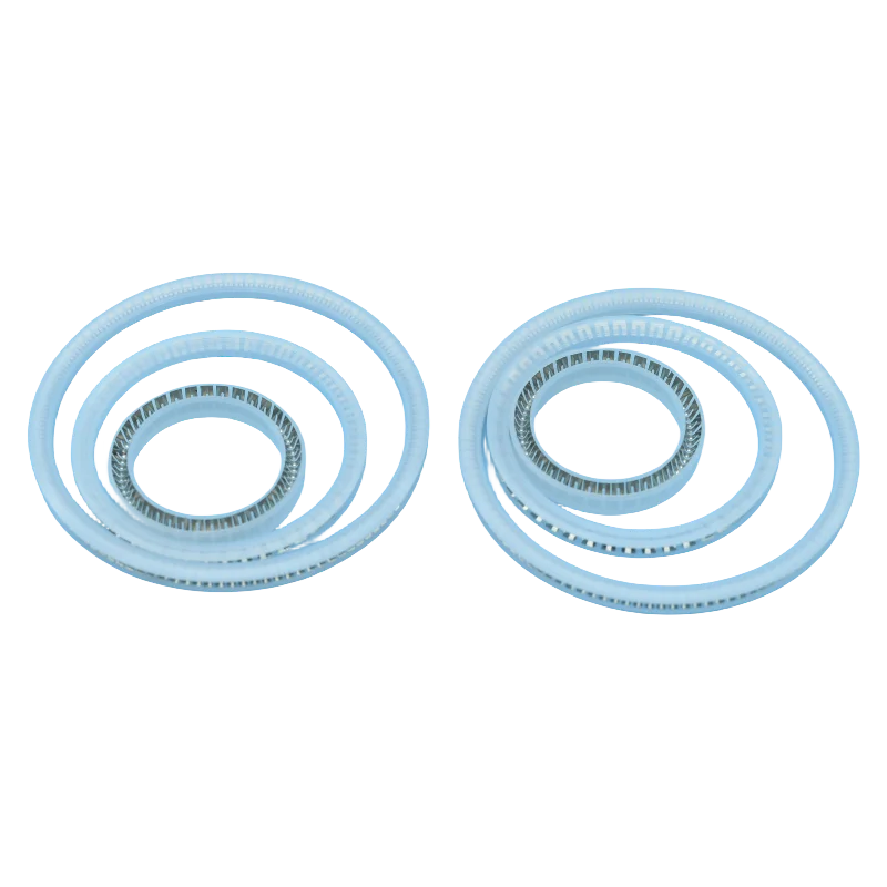 PTFE/F4 пружинное уплотнение PTFE поршневое уплотнение
