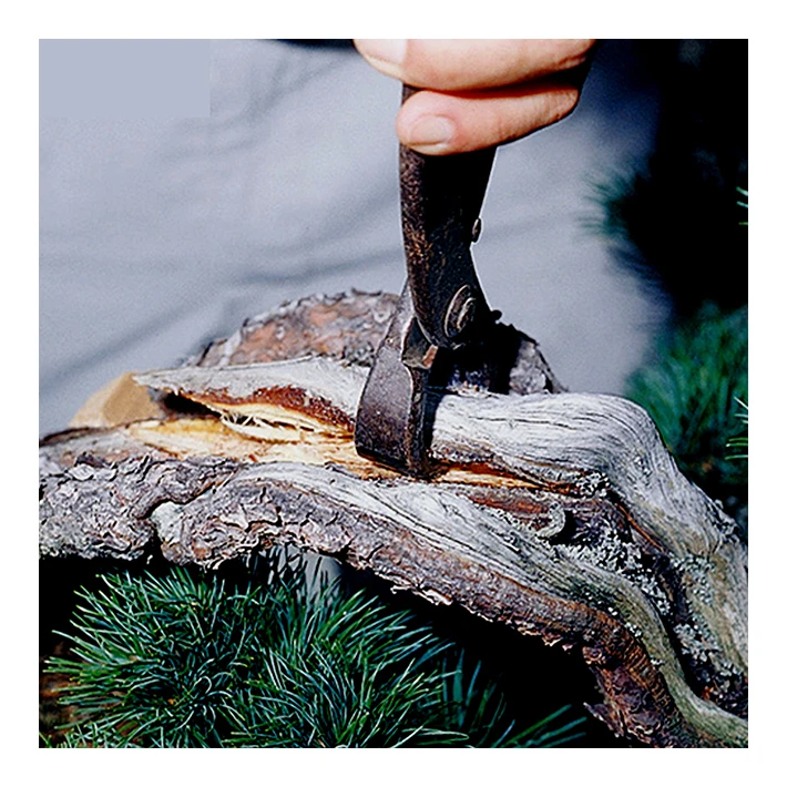 Japan simple miniature gardening tools to split the branches of fruit trees