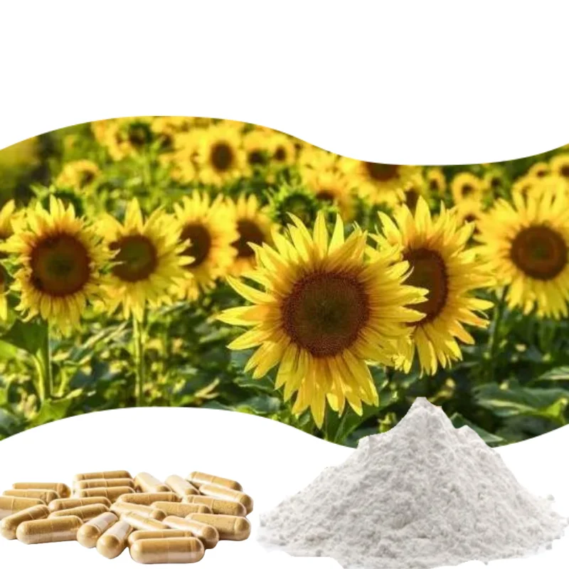 Sunflower Lecithin High Quality Organic Powder 25kg Bulk Price for Food Supplements