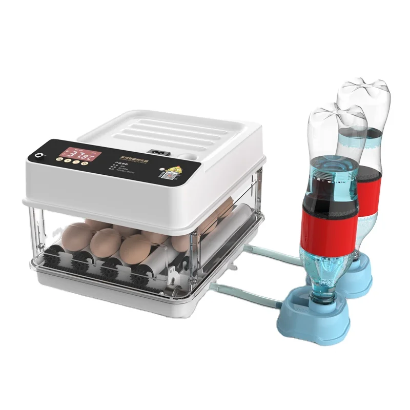 2022 cheap price home use small chicken egg incubator with 10 eggs capacity