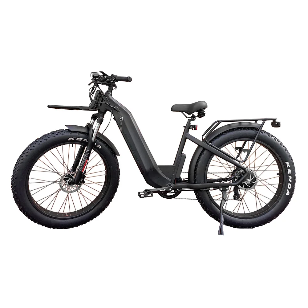 Lantu Ebike OEM 500w 750w 1000w fat tire hybrid electric mountain bike with 48v hidden lithium battery for ladies