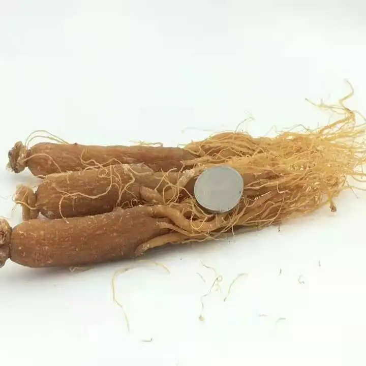 Origin Wholesale Price Buy Ginseng Korea Red Ginseng Root