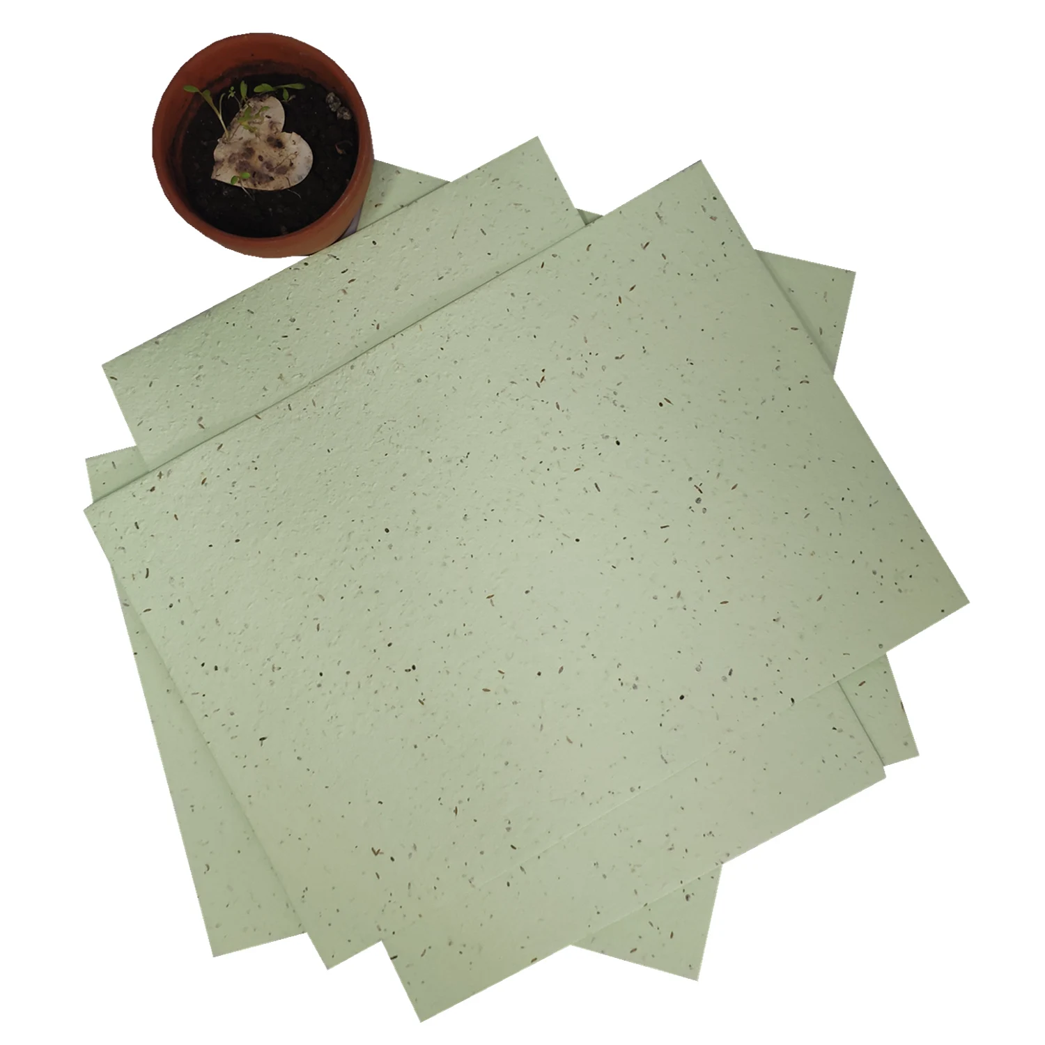 
Светло-зеленая бумага Ecowill A4 для семян растений ручной работы, 200 г/м2, с растительными травами, семена овощей и цветов 