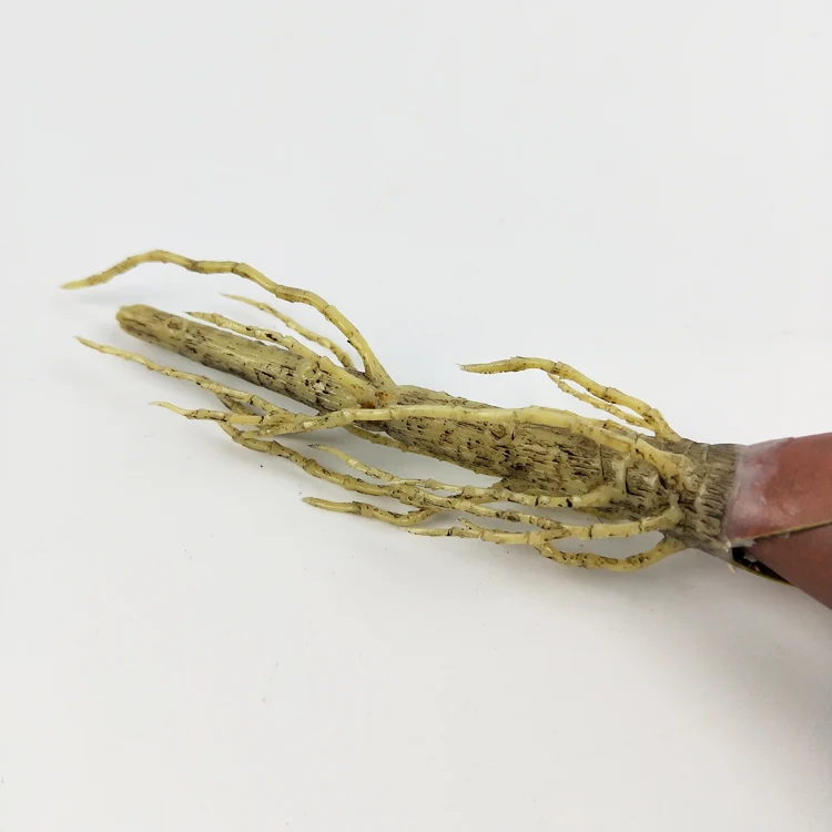 New design fashion home decoration artificial leaf bromeliad decorative plant pots