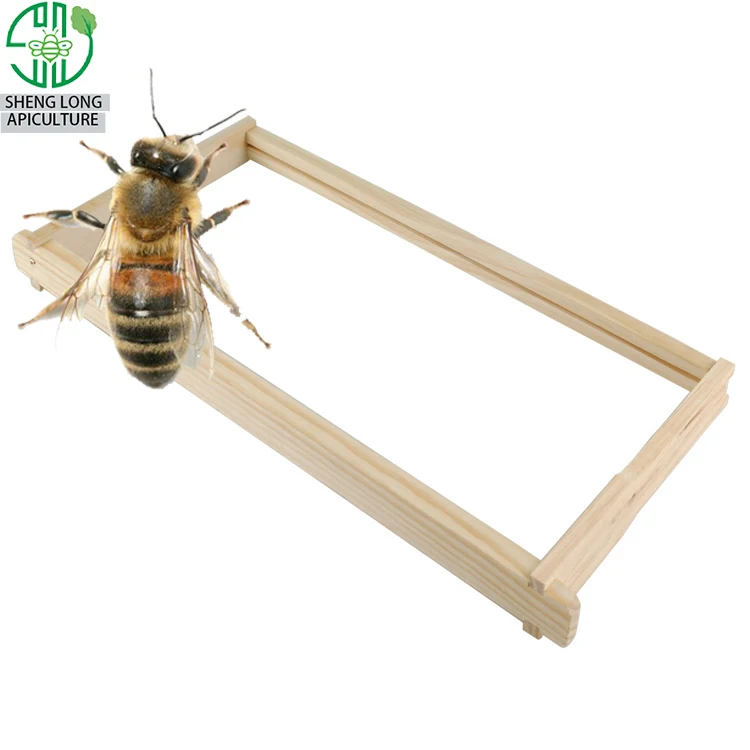 
2019 Henan beehive accessories factory directly supply all styles wood bee hive frame 