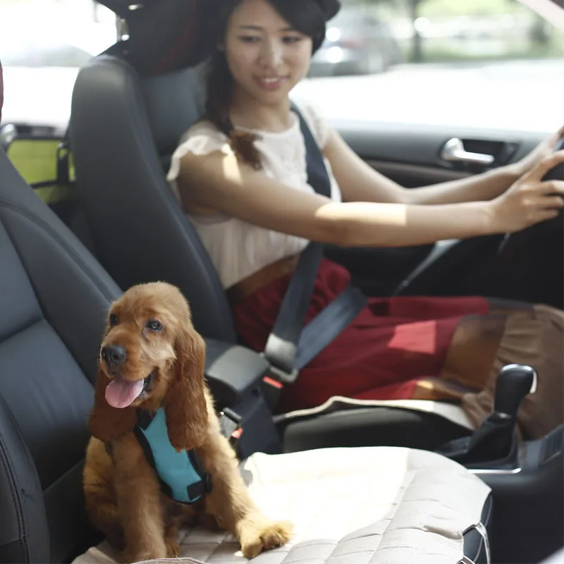 Adjustable ecofriendly wholesale custom logo comfort soft nylon padded pet chest strap car seat safety small dog harness