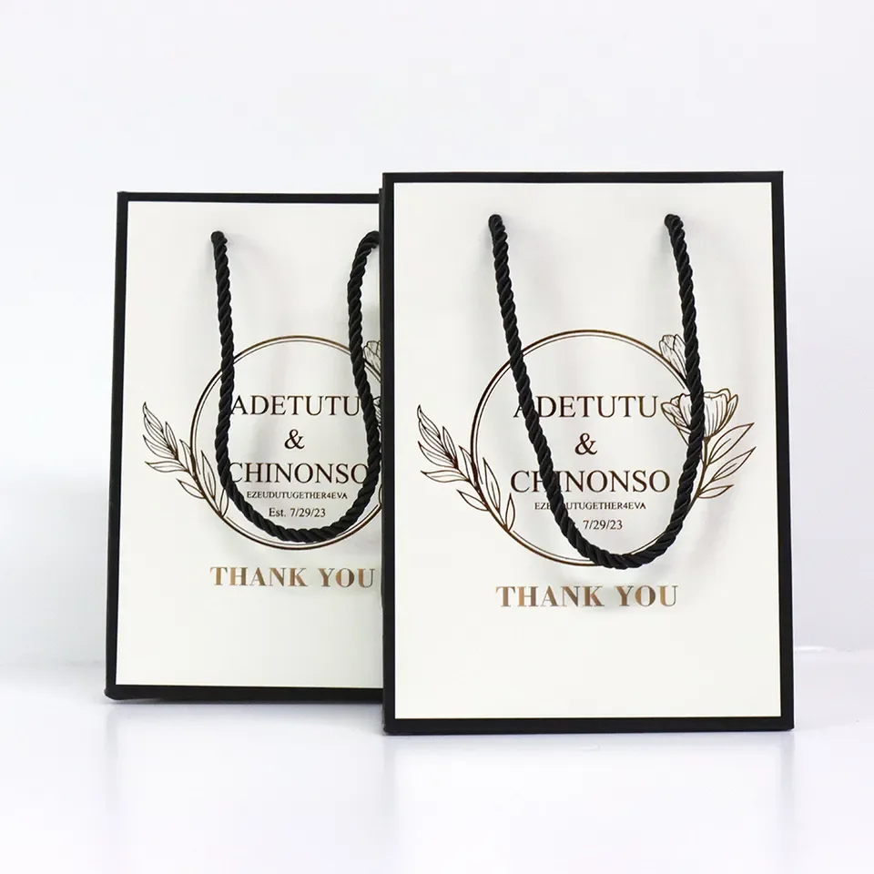 China Factory Customise Printing Clothing Cosmetic Shoes Shopping Bags with Ribbon Handle