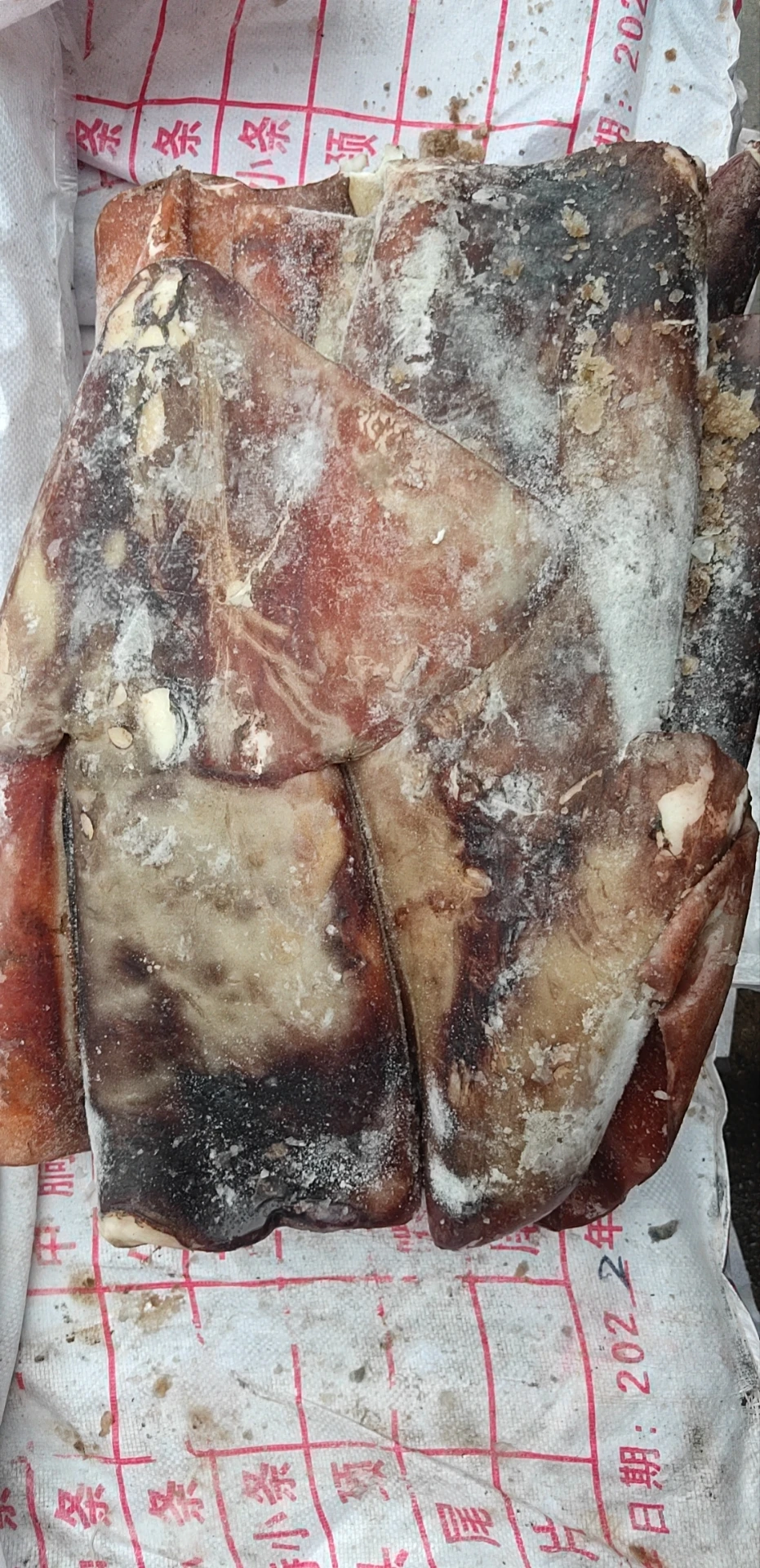 Высококачественный свежий замороженный гигантский кальмар seafrozen, производство Китай