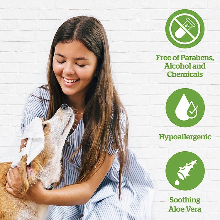2024 Pet Cleaning Wipes Manufacturers Organic Bamboo Biodegradable Eco Friendly Kraft Paper Package Pet Wet Wipes Private Label