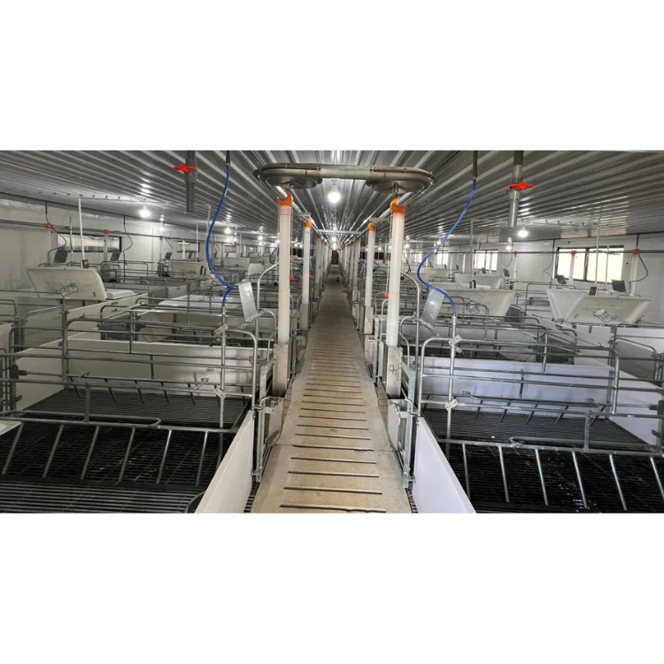 Farrowing Crate Pig Cheap Price 2-Door Design Animal Husbandry Pig Farming Equipment Custom Size From Vietnam Manufacturer