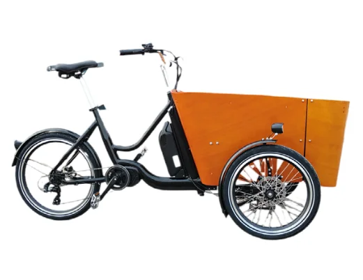 Electric cargo belt 500W bike for family 3 wheel bike