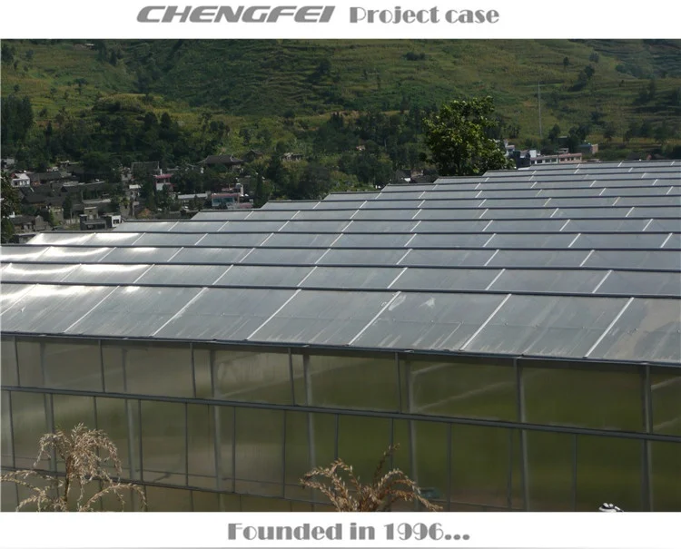 Plant Cultivation Commercial  Blackout Light Dep Multi-span Venlo hemp Blackout Greenhouse For Plants Culti