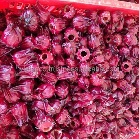 Soft Dried Hibiscus Sabdariffa Flower Tea Made from 100% Fresh Natural Ingredient with the Best Quality