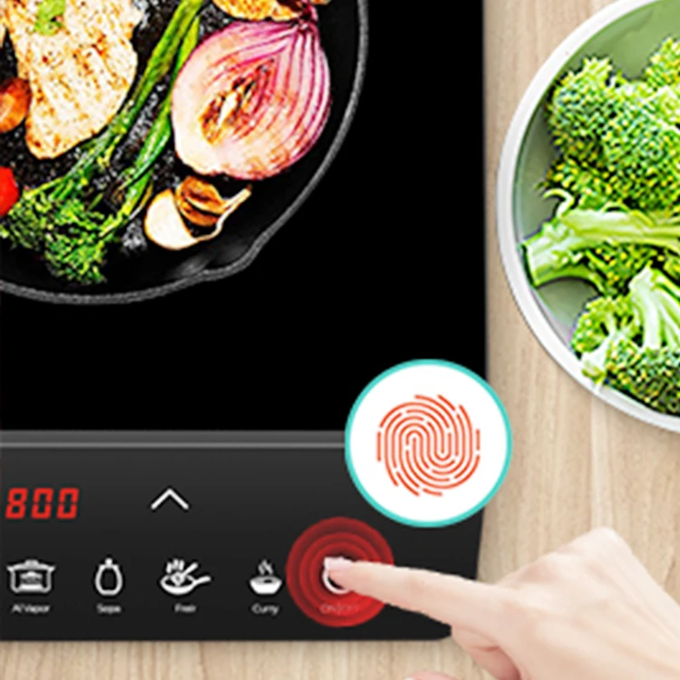 Wholesale Factory offer Two Burner Double Induction Cooker 110v GS/ROHS/EMC Electric Heater Hob Ceramic