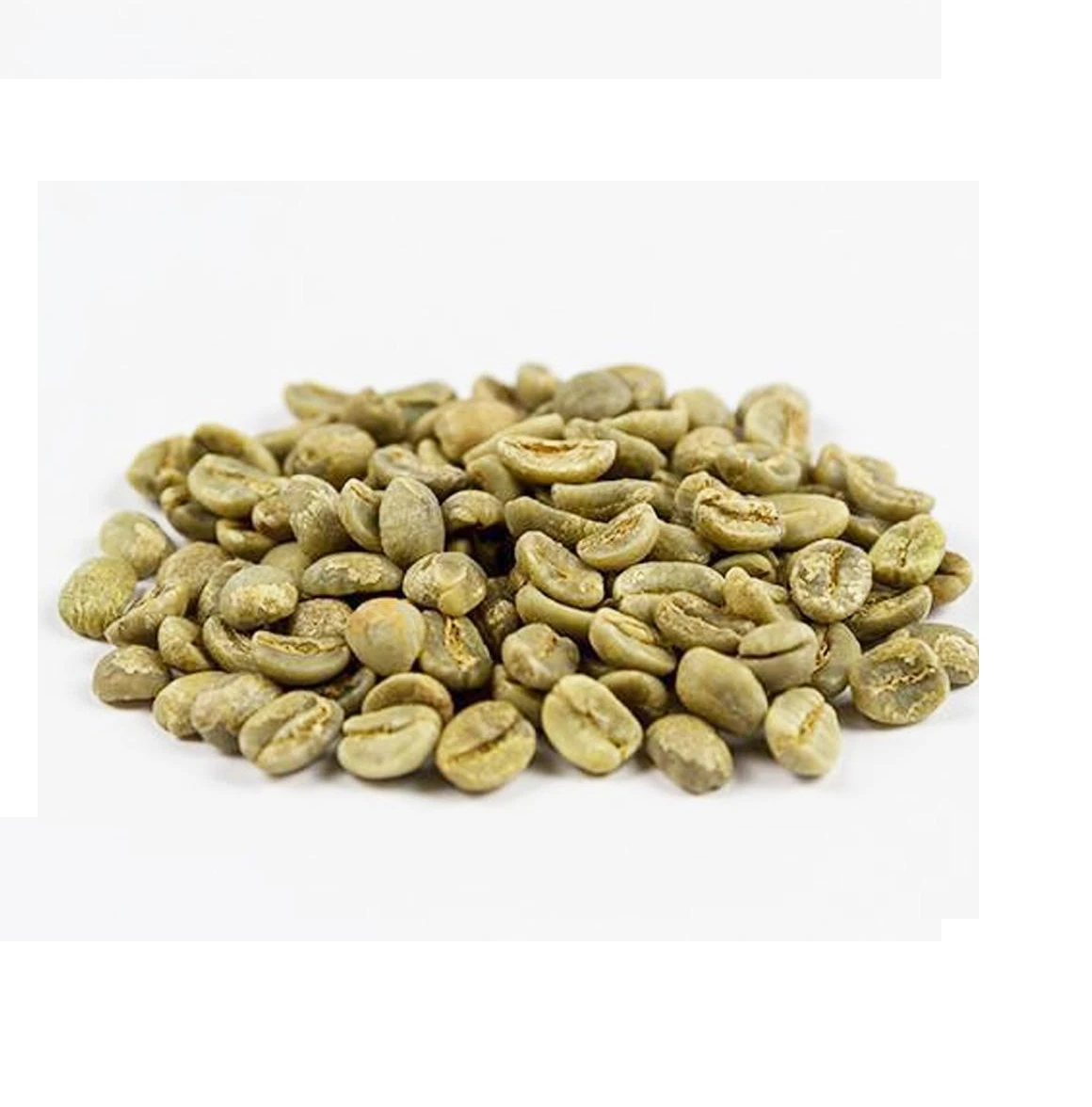 Wholesale Arabica Coffee Beans 100% pure organic coffee high grade Arabica Green Coffee Beans from Vietnam