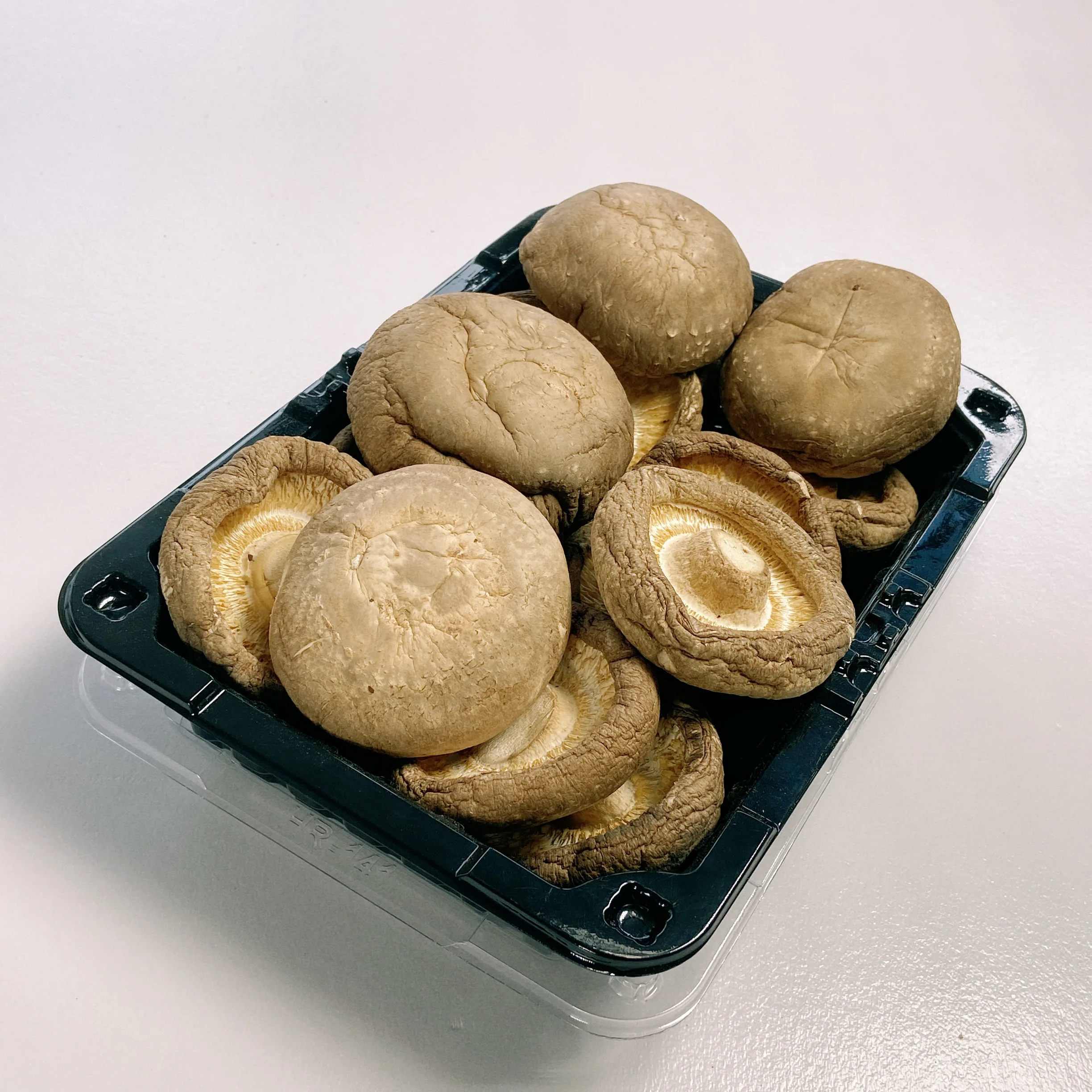 Hot Selling Good Quality Organic Dried Mushroom Price Dried For Sale