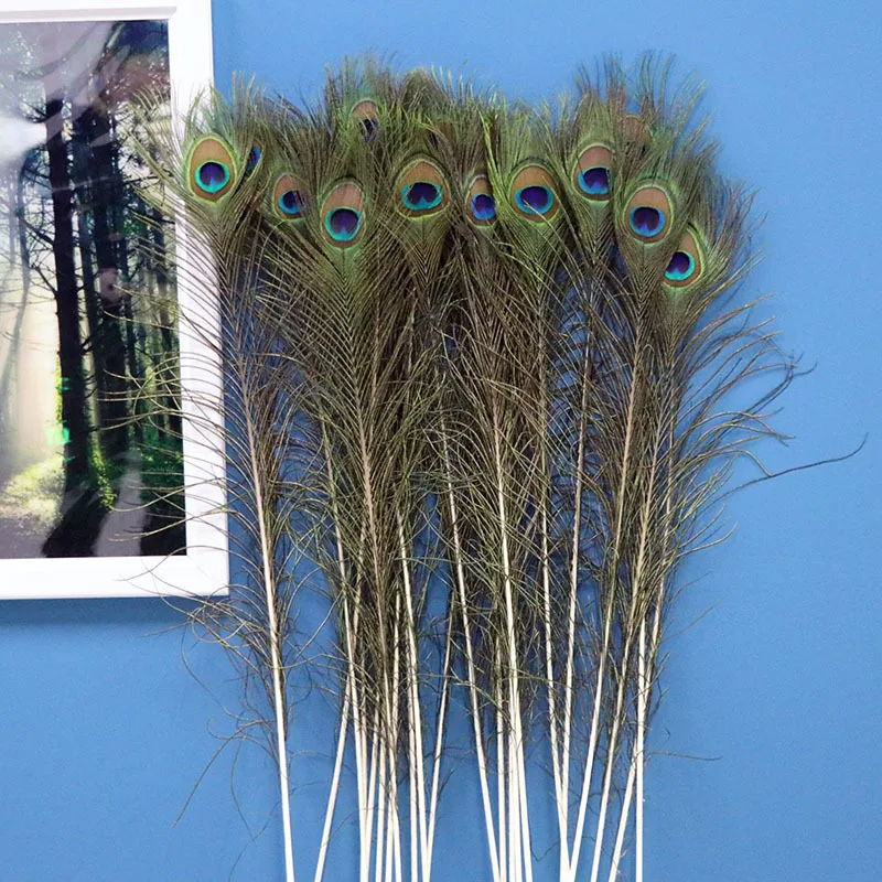 High Quality Wholesale Feather Crafts Supplier Nature Dyed Peacock Feather