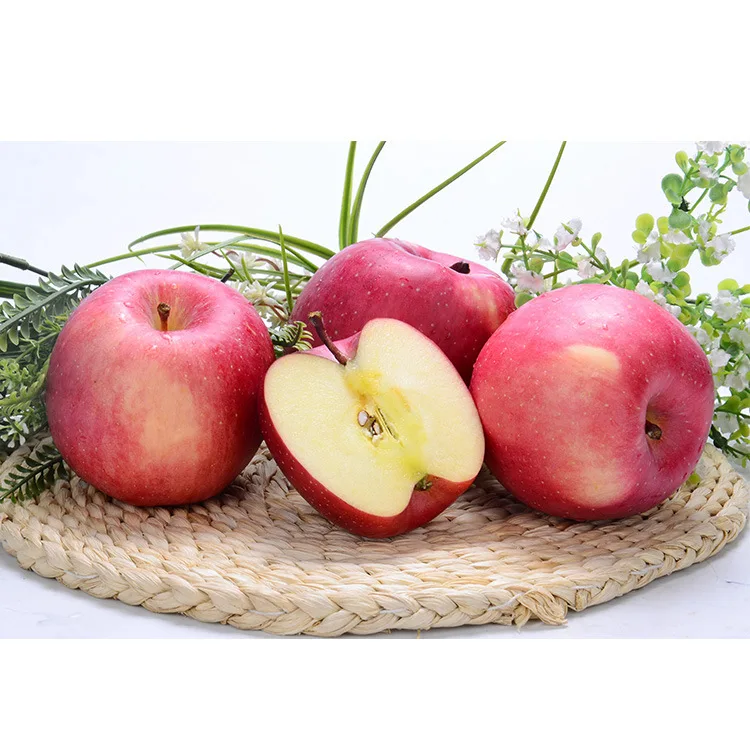 2021 New corp  fuji apples at good Prices Jingning Red Fuji Apples fresh