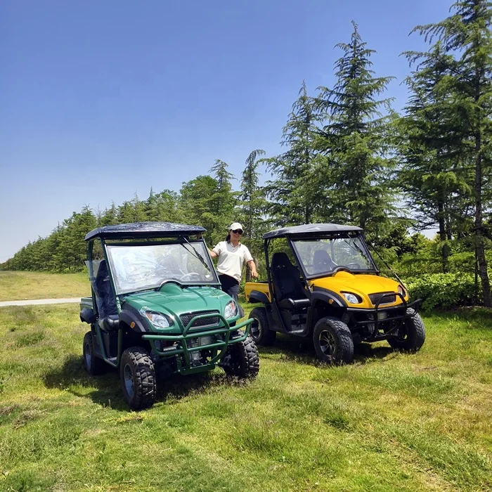 KINGWOO Manufacture Farm 10Kw 72V 4WD Utility Vehicle 4X4 Electric UTV For Adult