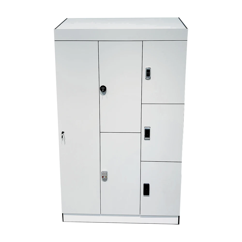 Cartmay Luggage Parcel Storage Locker Gym Fitness Center Smart RFID Card Cabinet Lockers