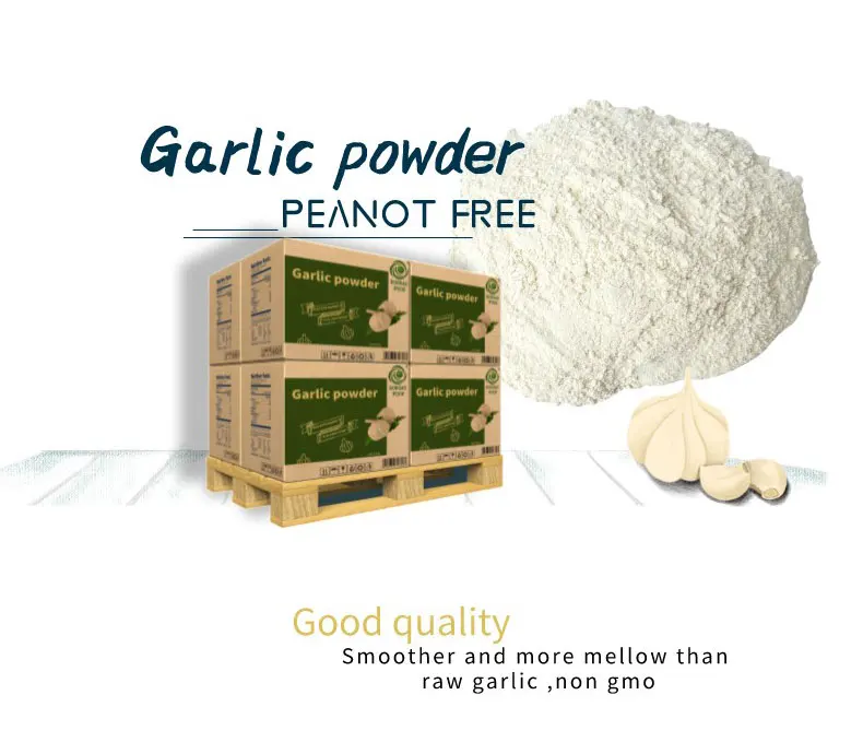 DongAo China Factory Directly Sell Roasted Garlic Powder for Food