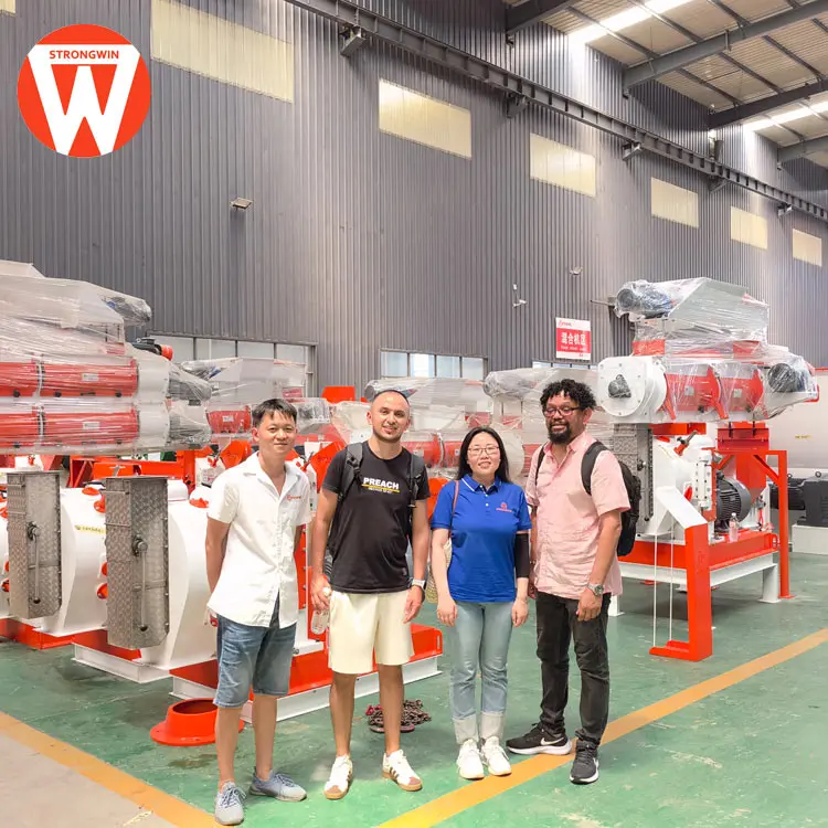 Chinese auto industrial customized horizontal pellet making machine for sale