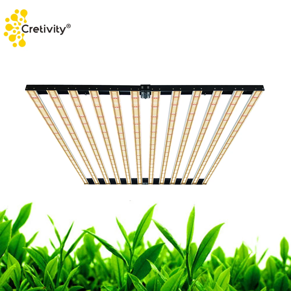Cretivity Commercial Full Spectrum Plant Grow Lights 1000w 640w Led Light For Medical