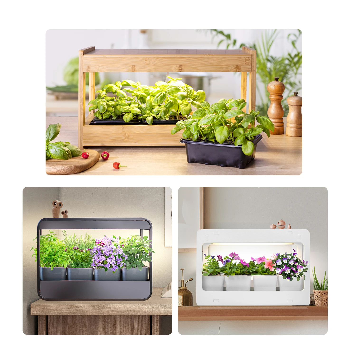 J&C Minigarden decorative indoor garden smart plant table grow light countertop grow lamp plant starter