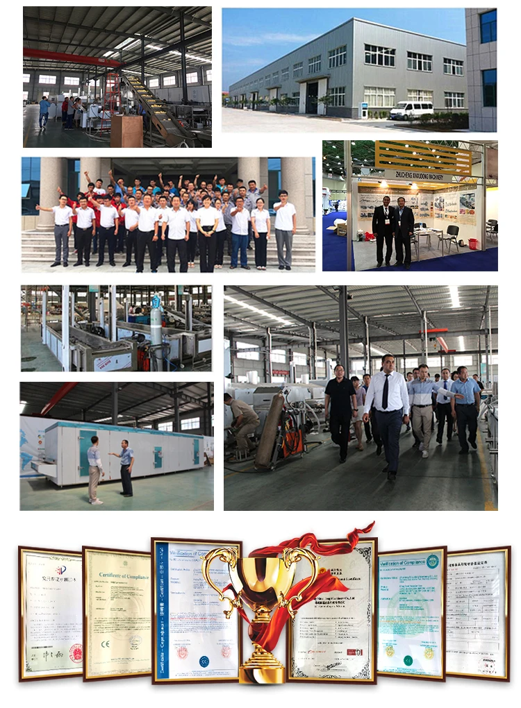 TCA Industrial manufacturer frozen fruits and vegetable processing iqf freezing tunnels blast freezer machines