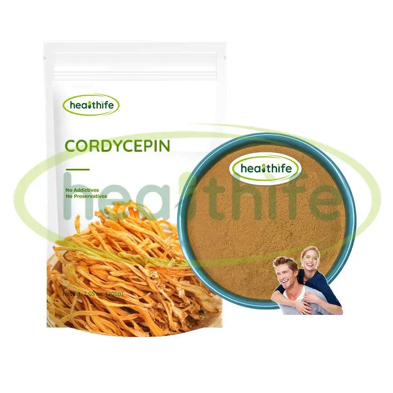 FocusHerb полисахариды 50% Cordyceps Sinensis порошок