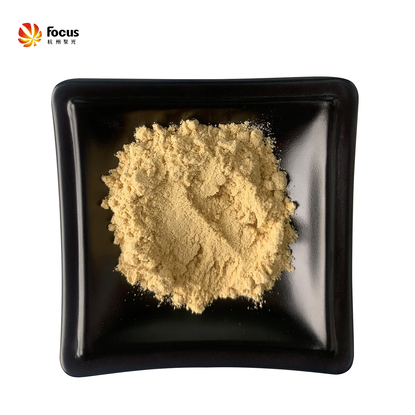 High Quality Soybean Soya Soy Lecithin Powder CAS 8030-76-0