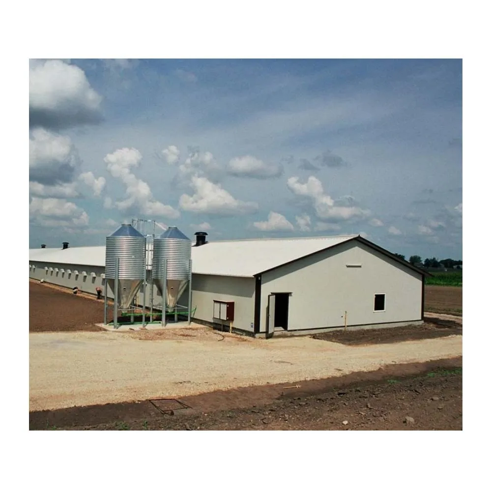 Горячая распродажа Стальной дом для домашнего скота птицеводства куриного мяса